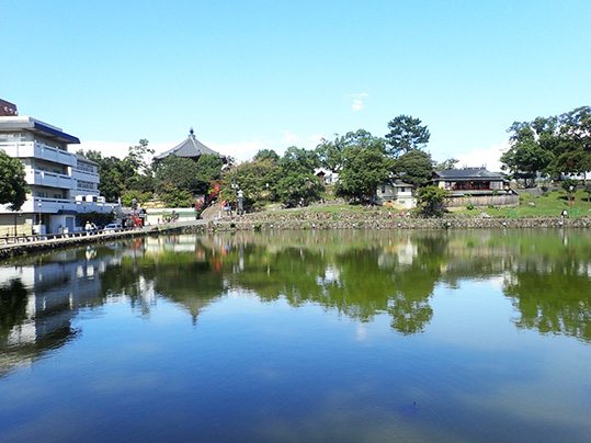 日本の観光地、地域情報、ホテルの情報などをまとめたサイトです。